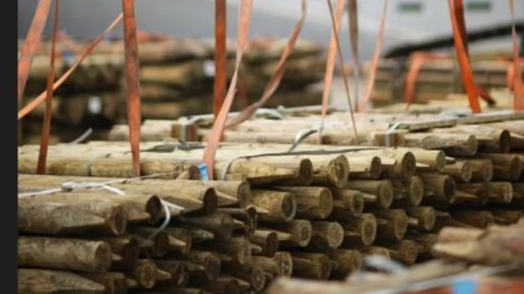 Polyester Sling Production
